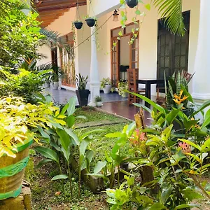 https://fairview-dill-homestay.kandyhotelsnow.com